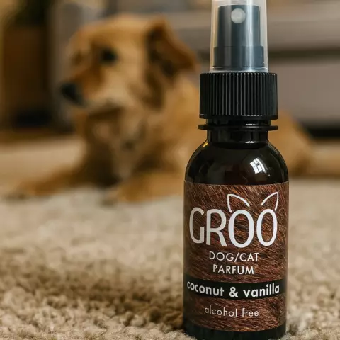 An image of a product called GROO COCONUT & VANILLA 100ML